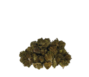 POMPON (sur la Garonne)_ Kompolti_ Micro Buds CBD_ été82