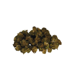 POMPON (sur la Garonne)_ Northwest_ Micro Buds CBD_ été82