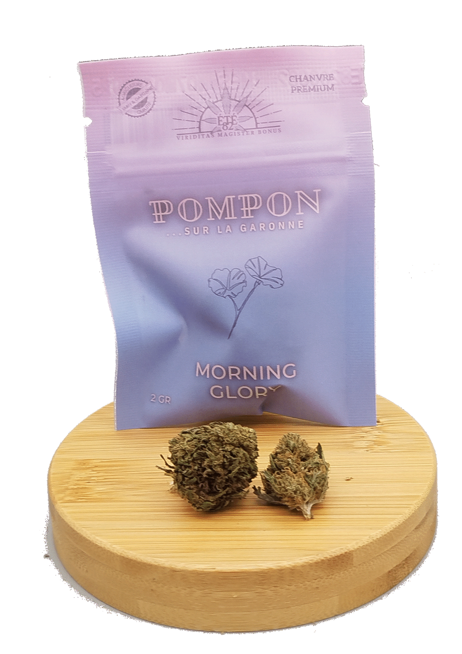 Morning Glory Fleurs Premium