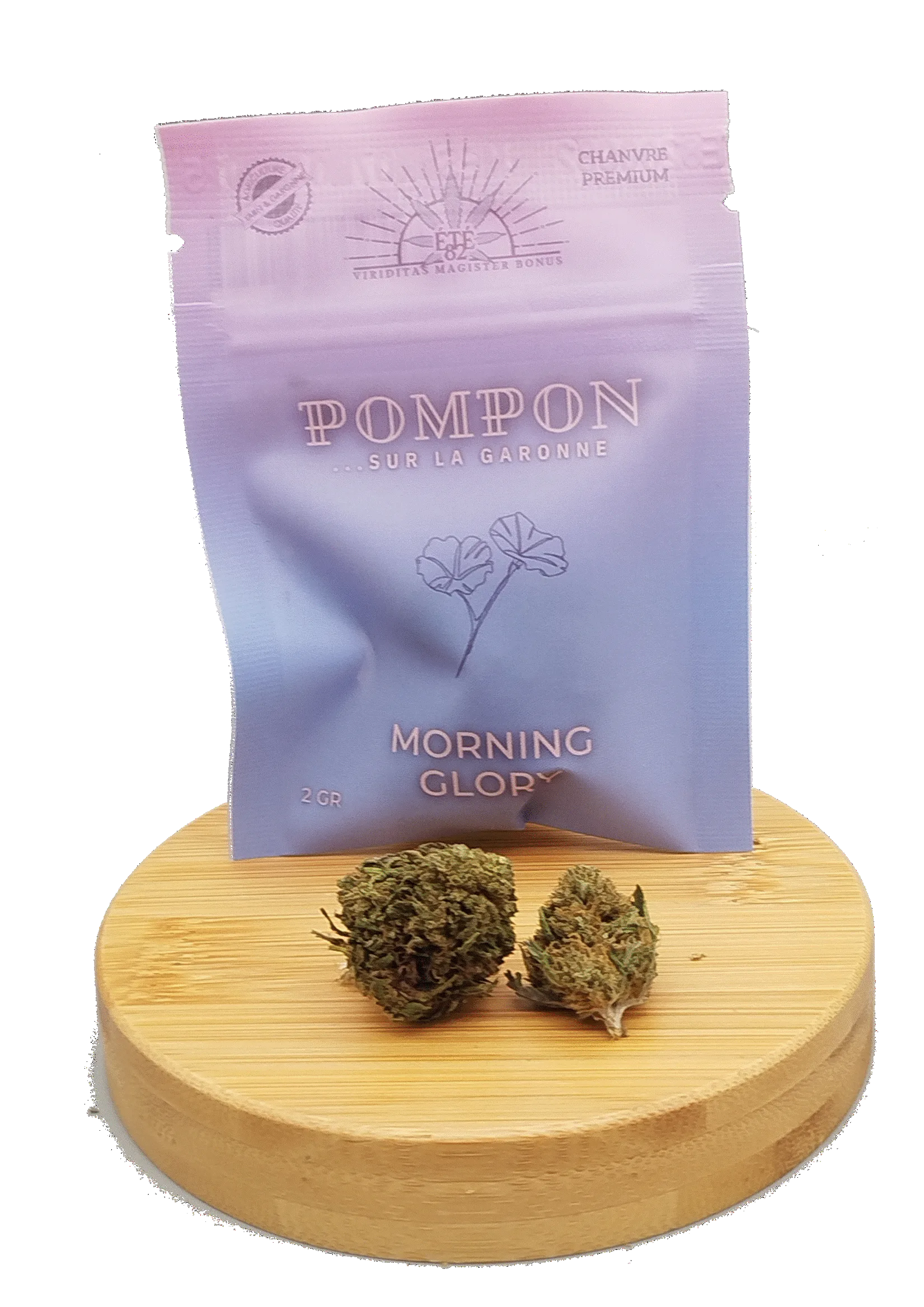 Morning Glory Fleurs Premium